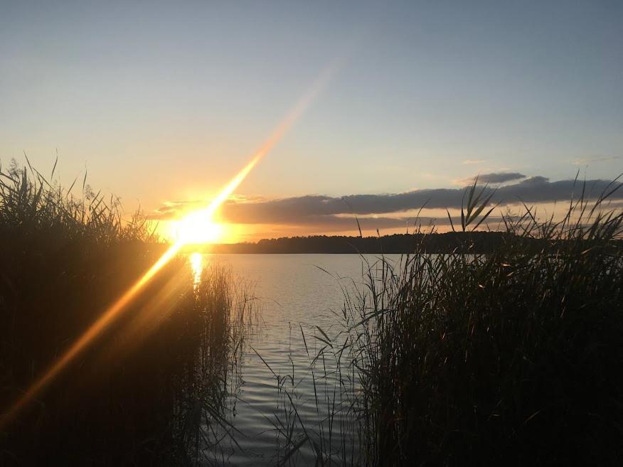 Ferienwohnung Am See Wochowsee エクステリア 写真